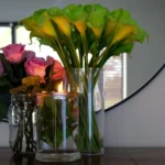 0 Qps4 YoU6YUj95nQ 150x150